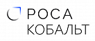 Пользователь РОСА "Кобальт"